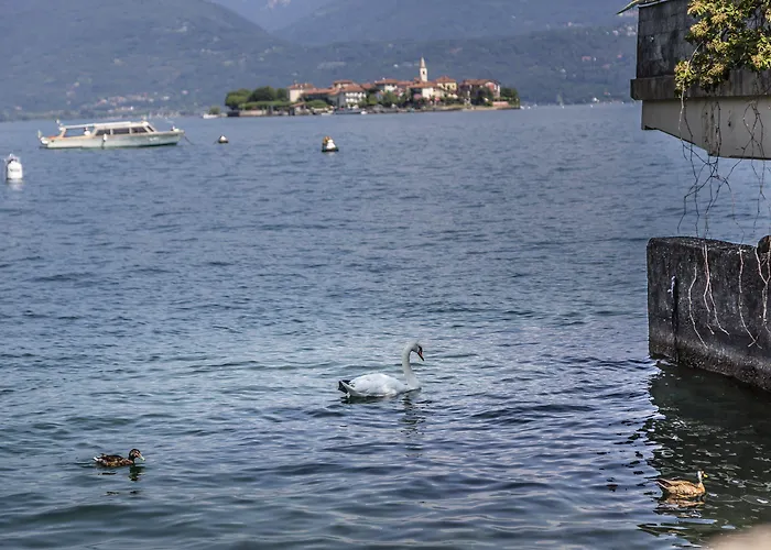 Della Torre Στρέσα